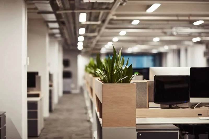 Office-Cleaning open-plan office interior with wooden planter boxes
